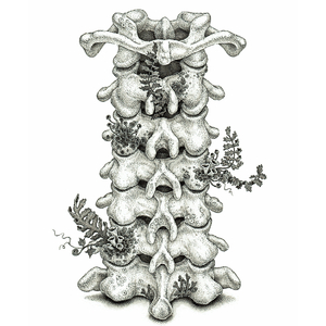 得意客工作室网址
