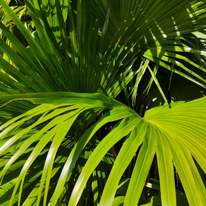 得意客工作室网址
